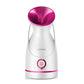 Facial Steamer