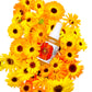 Calendula Face + Body Mist