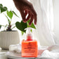 Gentle Hydrating Facial Cleanser – Aloe, Cucumber & Antioxidants (Nut-Free, Gluten-Free, Vegan)