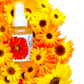 Calendula Face + Body Mist