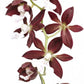 Orchid Stem Cell Serum