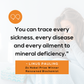 Mineral Deficiency, Heavy Metals, & Metabolism Analysis - Take your hair sample in 5 min or less