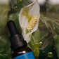 Emanations Tallow & Emu Face Oil • Sea Buckthorn & Floral Attars • Dry, Sensitive & Mature Skin
