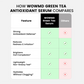 Green Tea Antioxidant Serum